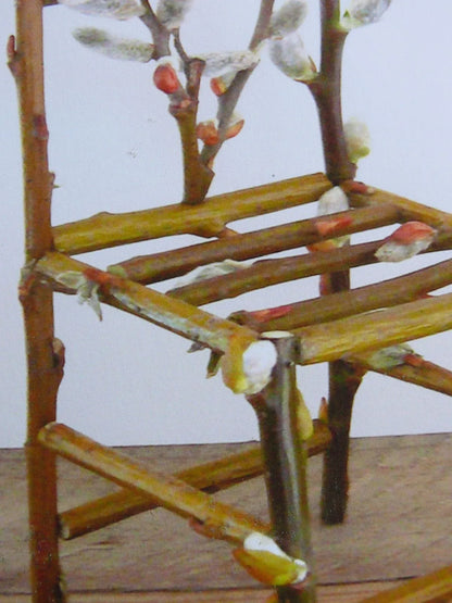 Flower Chair Pussy Willow Art Installation and Photograph Print Pussy Willow 8x10 inches