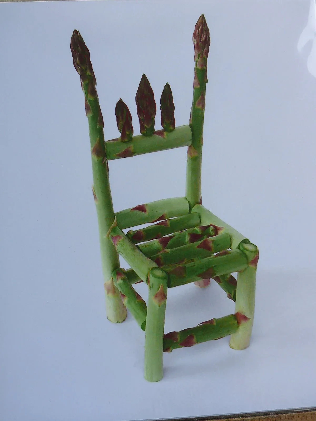 Flower and Vegetable Chair Asparagus Art Installation and Photograph Print Asparagus 8x10 inches