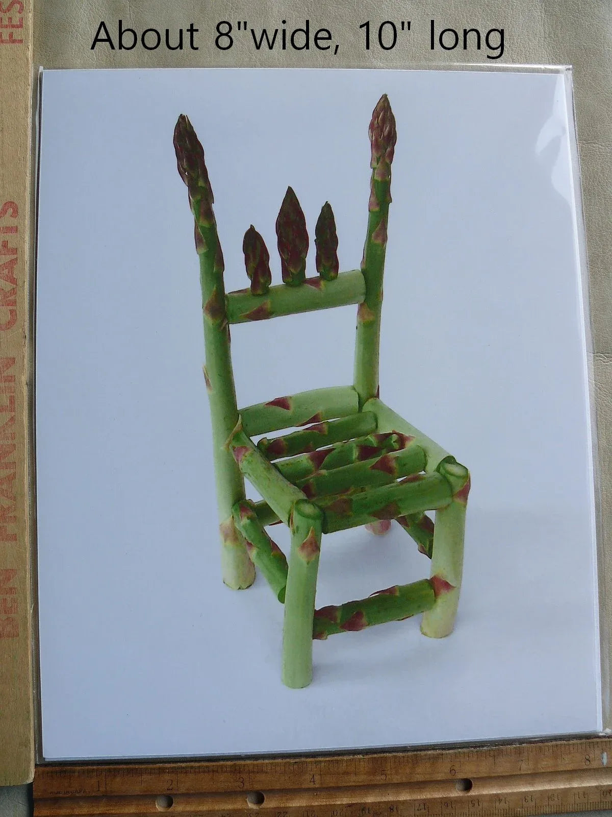 Flower and Vegetable Chair Asparagus Art Installation and Photograph Print Asparagus 8x10 inches