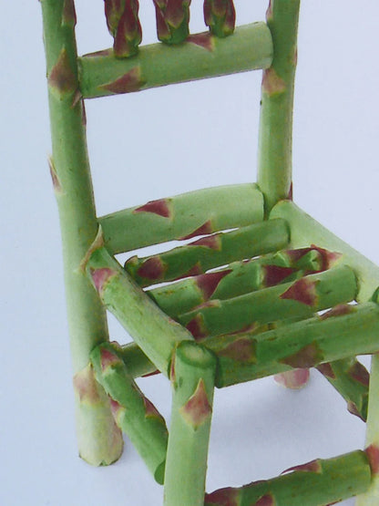Flower and Vegetable Chair Asparagus Art Installation and Photograph Print Asparagus 8x10 inches