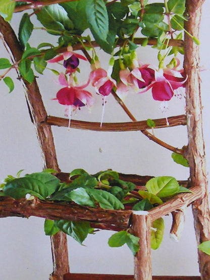 Flower Chair Fuchsia Art Installation and Photograph Print Fuchsia 8x10 inches