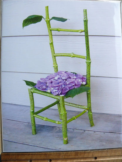 Flower Chair Hydrangea Art Installation and Photograph Print Hydrangea 8x10 inches