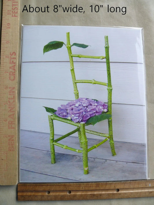 Flower Chair Hydrangea Art Installation and Photograph Print Hydrangea 8x10 inches