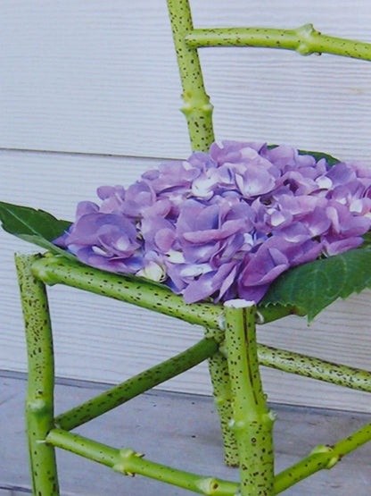 Flower Chair Hydrangea Art Installation and Photograph Print Hydrangea 8x10 inches
