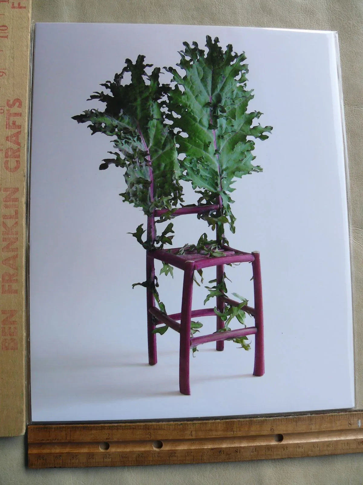 Flower and Vegetable Chair Kale Art Installation and Photograph Print Kale 8x10 inches