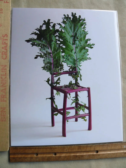 Flower and Vegetable Chair Kale Art Installation and Photograph Print Kale 8x10 inches