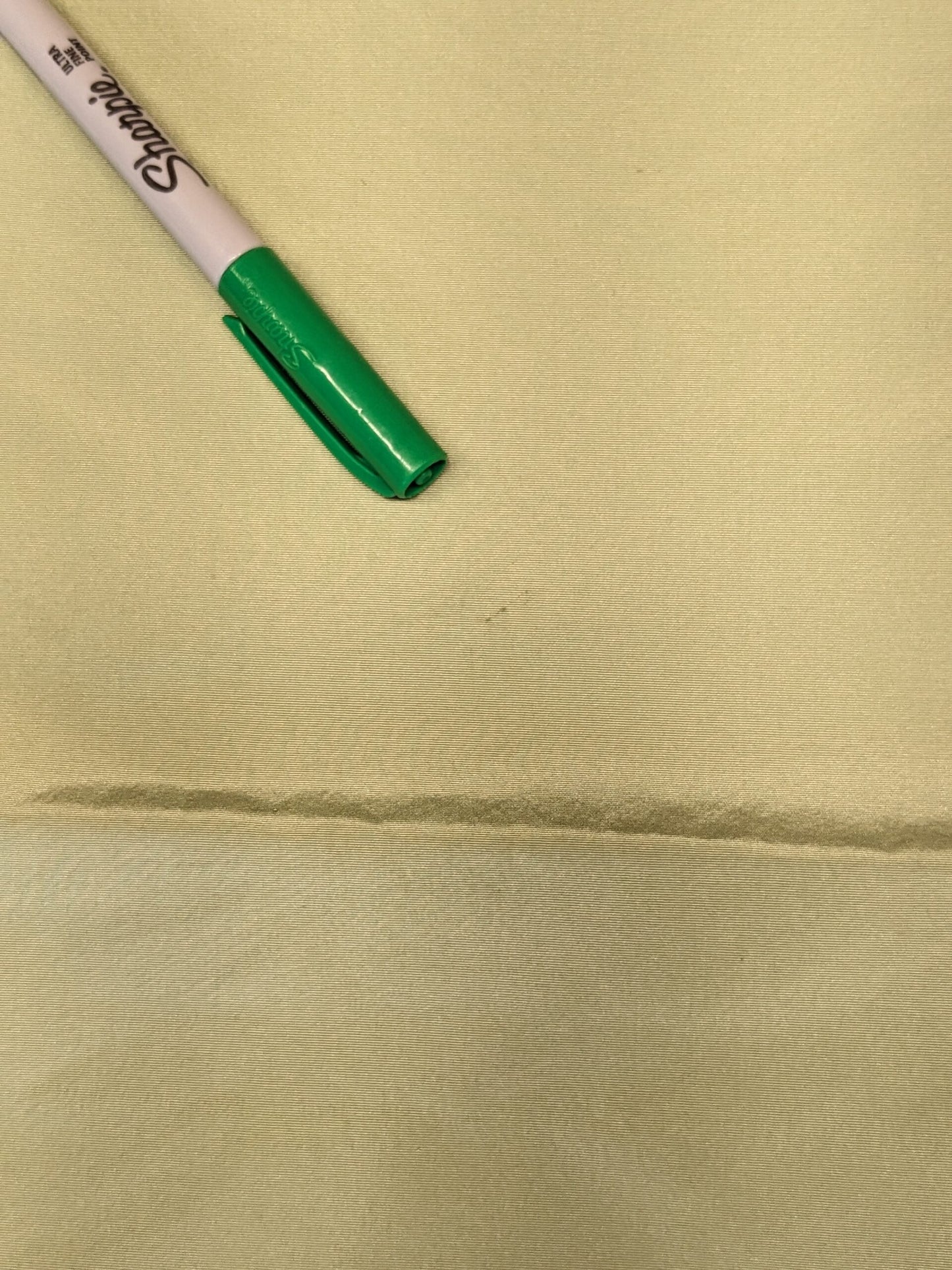 73 EV34 Special Square Plain Fabric by Tassinari and Chatel Faille Vert Light Green Silk Plain MSRP USD1400+/y