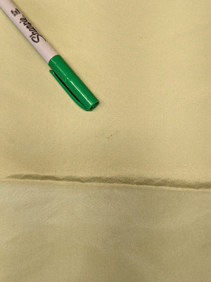 73 EV34 Special Square Plain Fabric by Tassinari and Chatel Faille Vert Light Green Silk Plain MSRP USD1400+/y