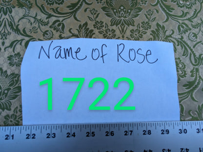 In Name of Rose Medallion Acanthus Renaissance Silk Damask Jacquard Pale Green & Gold MSRP USD 225Y