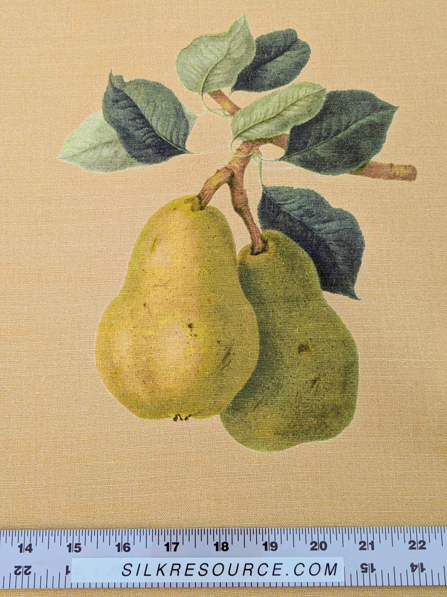 By Vertical Repeat 40 Inches Scalamandre Les Fruits Multi on Maize Grape Strawberry Cherry Plum Pear Blue MSRP USD 220/Y