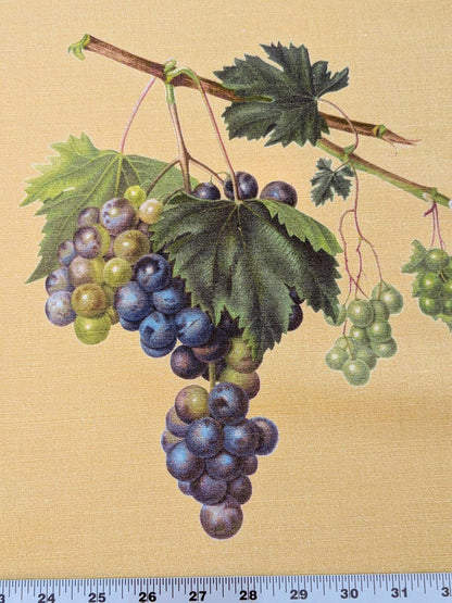 By Vertical Repeat 40 Inches Scalamandre Les Fruits Multi on Maize Grape Strawberry Cherry Plum Pear Blue MSRP USD 220/Y