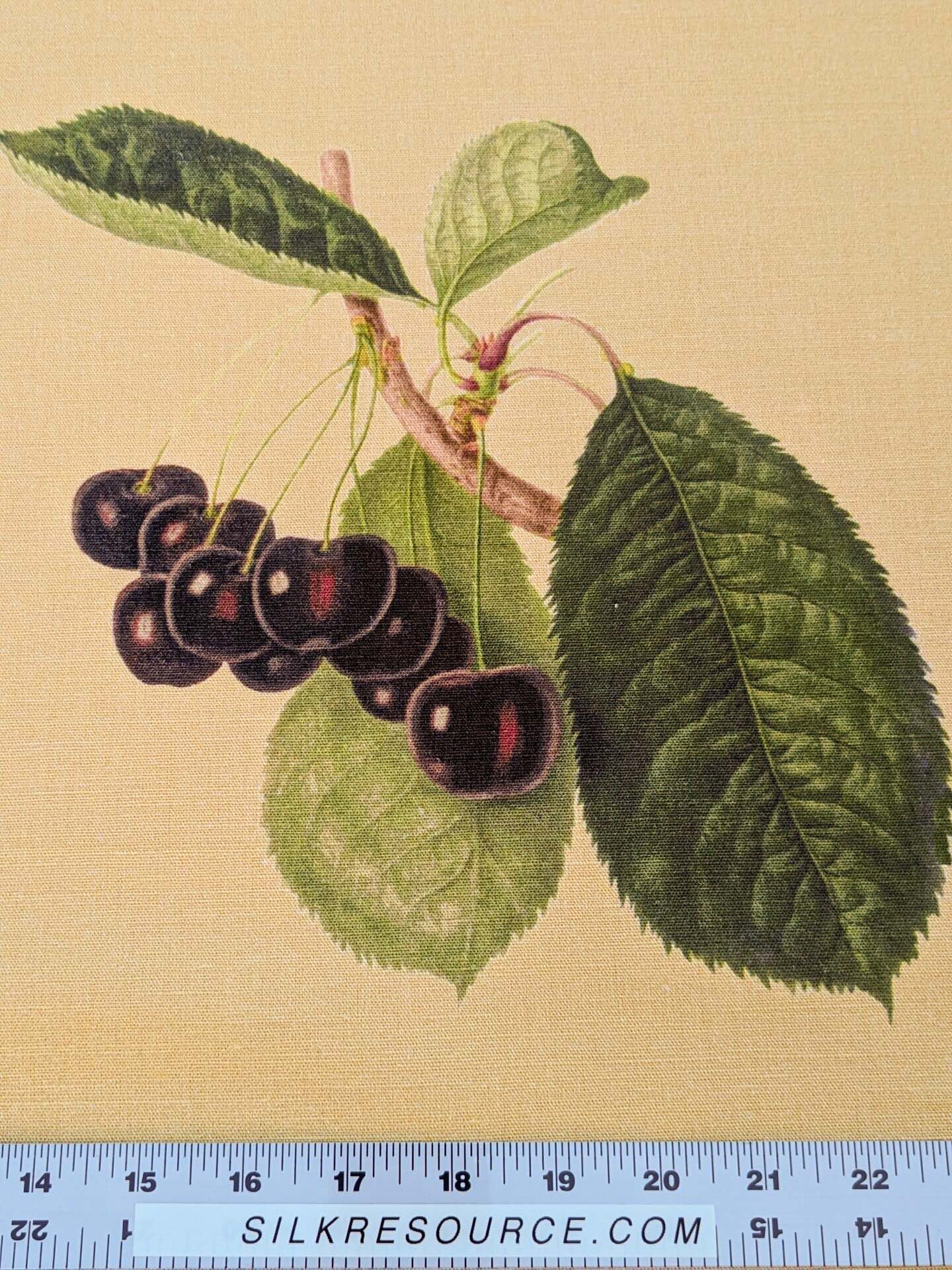 By Vertical Repeat 40 Inches Scalamandre Les Fruits Multi on Maize Grape Strawberry Cherry Plum Pear Blue MSRP USD 220/Y