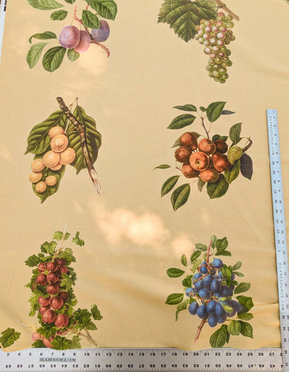By Vertical Repeat 40 Inches Scalamandre Les Fruits Multi on Maize Grape Strawberry Cherry Plum Pear Blue MSRP USD 220/Y