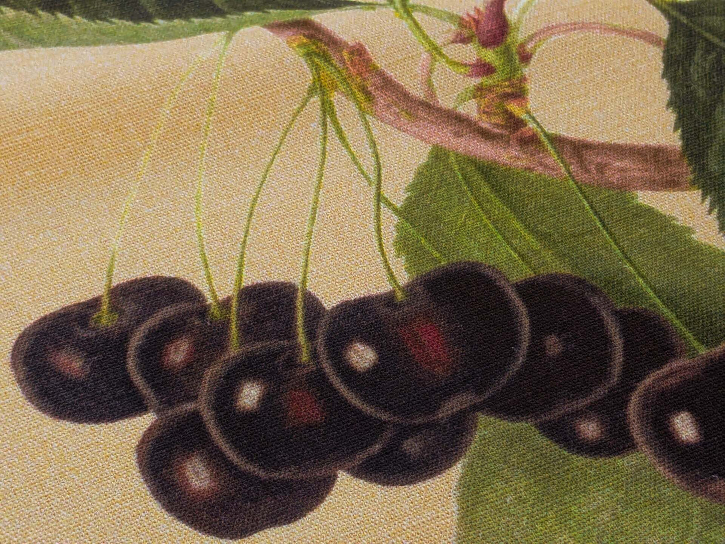 By Vertical Repeat 40 Inches Scalamandre Les Fruits Multi on Maize Grape Strawberry Cherry Plum Pear Blue MSRP USD 220/Y