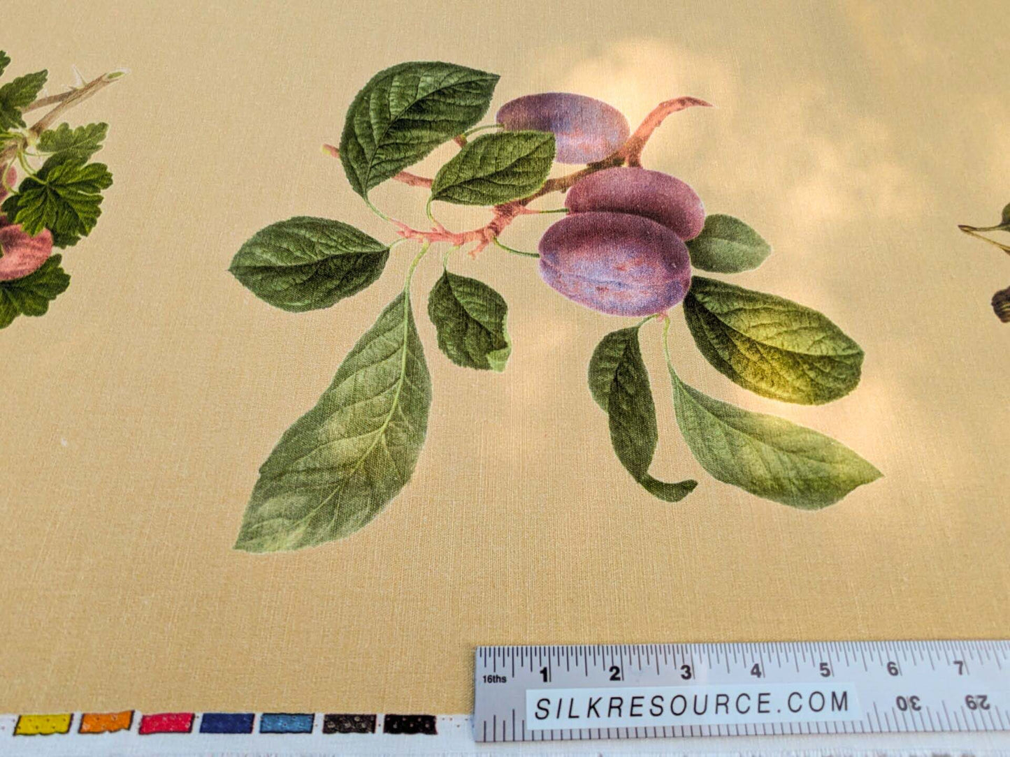 By Vertical Repeat 40 Inches Scalamandre Les Fruits Multi on Maize Grape Strawberry Cherry Plum Pear Blue MSRP USD 220/Y