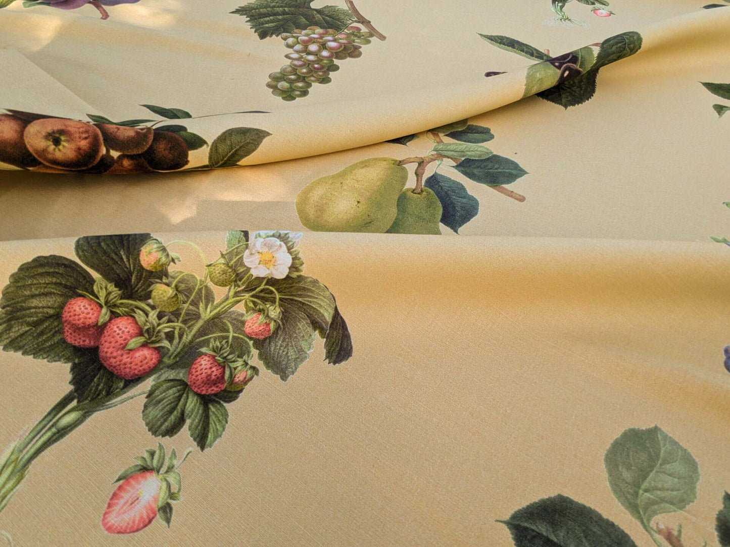 By Vertical Repeat 40 Inches Scalamandre Les Fruits Multi on Maize Grape Strawberry Cherry Plum Pear Blue MSRP USD 220/Y