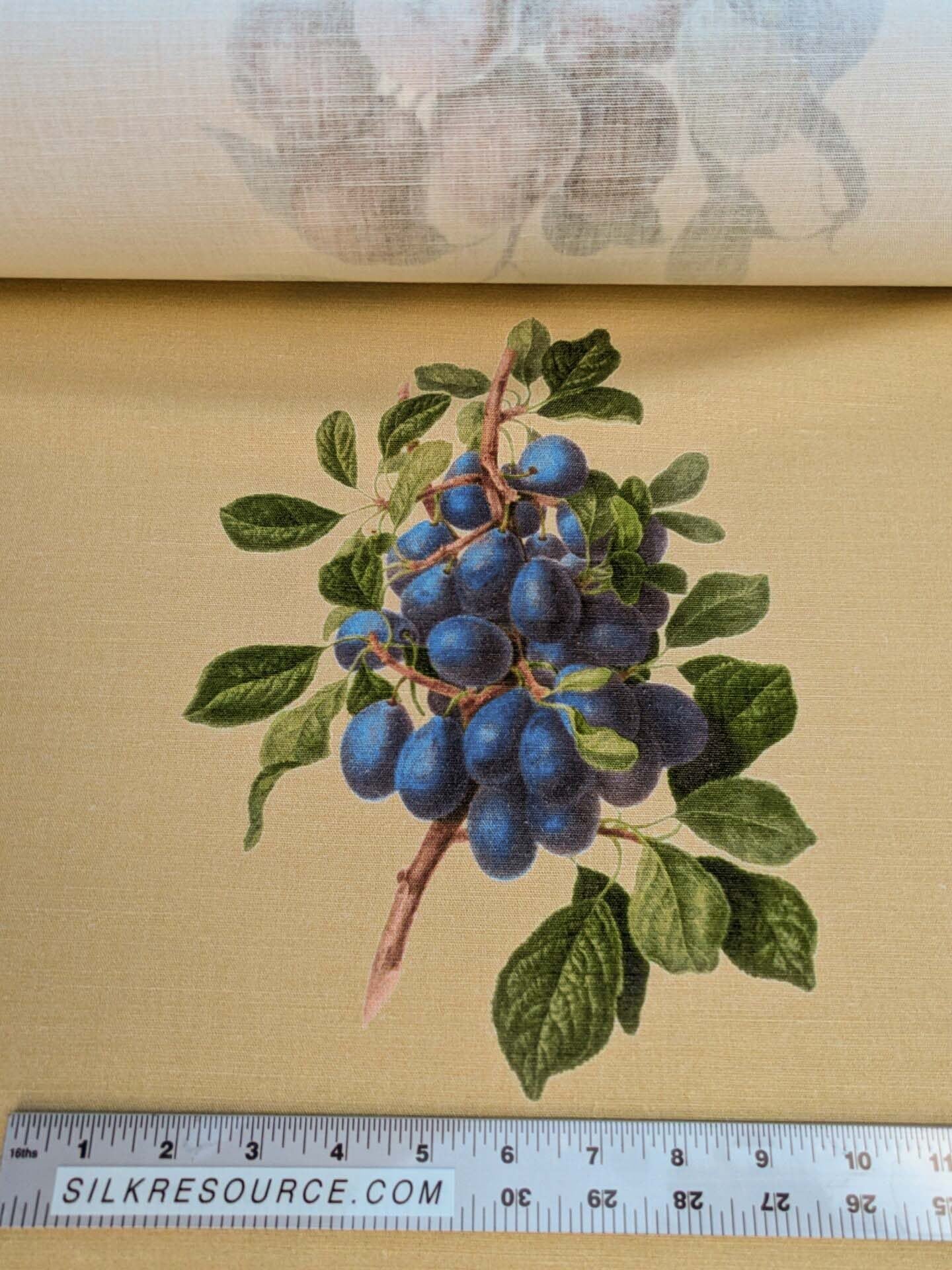 By Vertical Repeat 40 Inches Scalamandre Les Fruits Multi on Maize Grape Strawberry Cherry Plum Pear Blue MSRP USD 220/Y