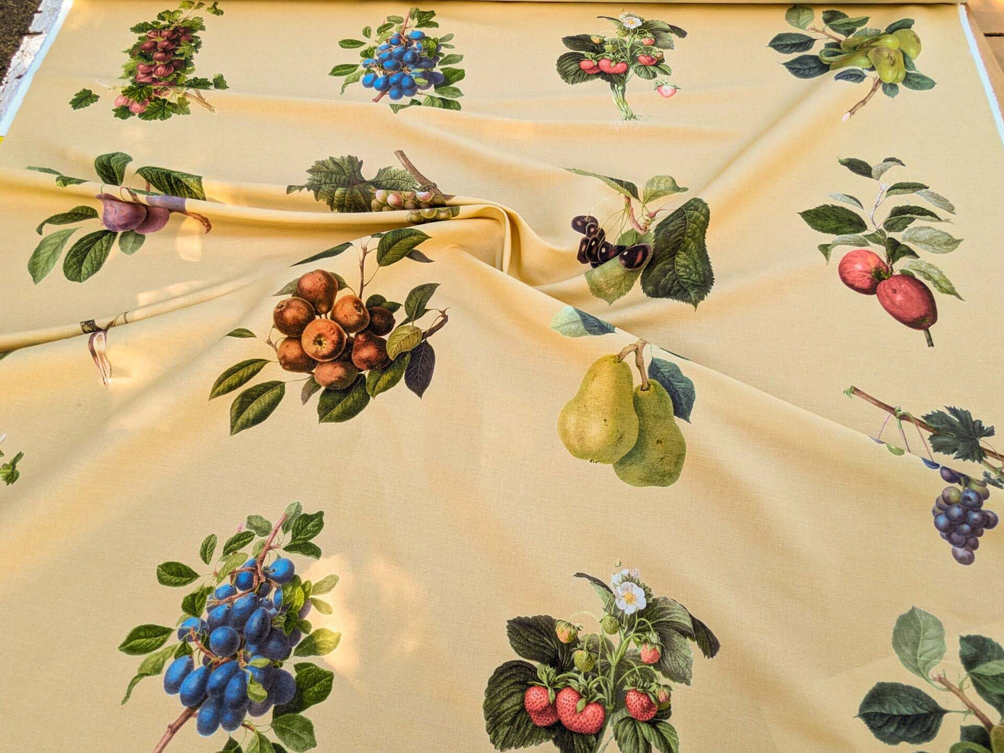 By Vertical Repeat 40 Inches Scalamandre Les Fruits Multi on Maize Grape Strawberry Cherry Plum Pear Blue MSRP USD 220/Y