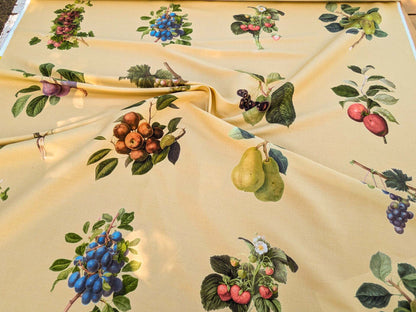 By Vertical Repeat 40 Inches Scalamandre Les Fruits Multi on Maize Grape Strawberry Cherry Plum Pear Blue MSRP USD 220/Y