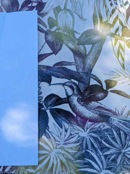 5 EV35 Length 2.5y Christian Fischbacher Benu Splash Midnight Plum Berry Yellow Pink Blue White Bird Floral Print Polyester MSRP USD 300+/y