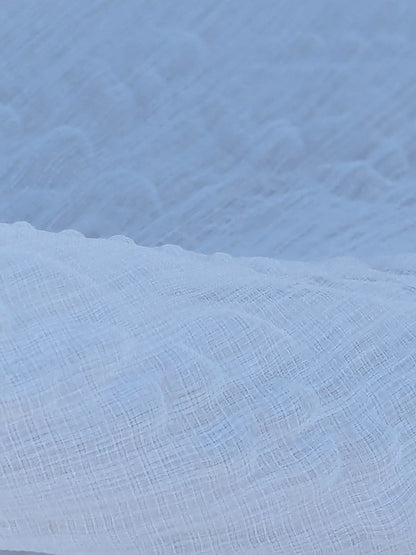 41 EV35 Length 2.5y Christian Fischbacher Orient Light Eggshell White Polyester Sheer MSRP USD 300+/y