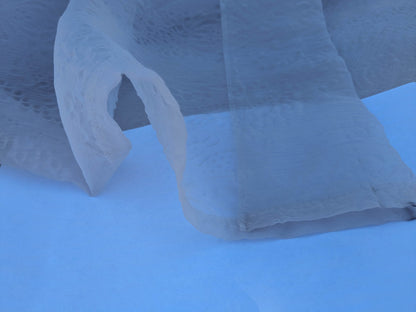 41 EV35 Length 2.5y Christian Fischbacher Orient Light Eggshell White Polyester Sheer MSRP USD 300+/y