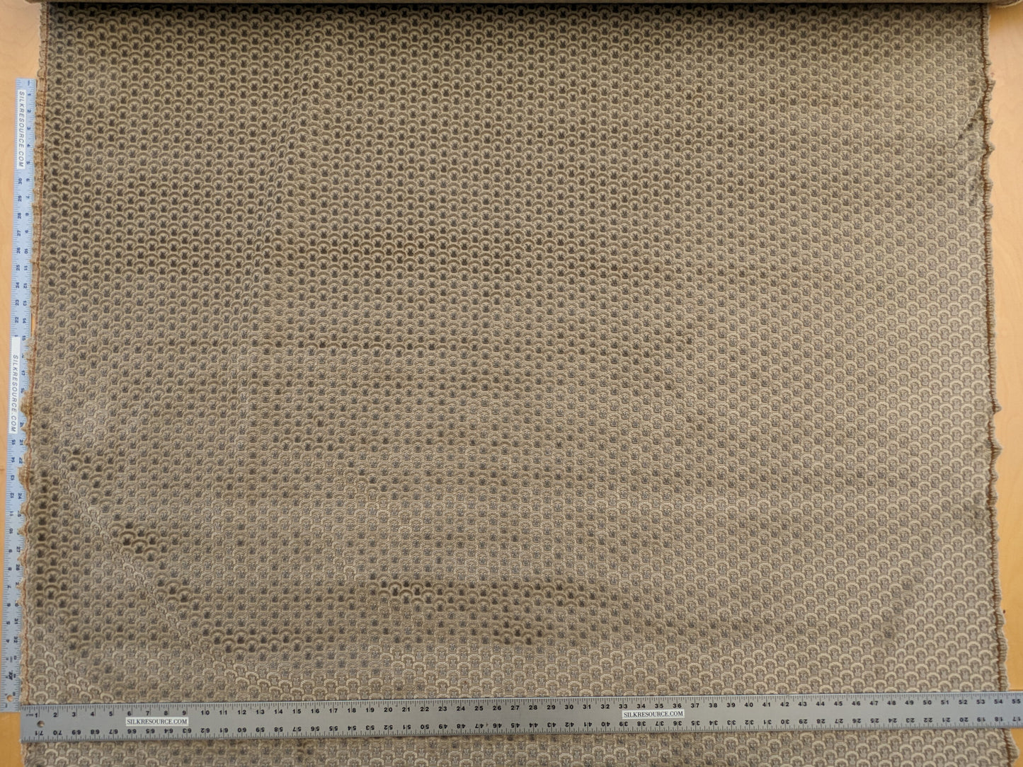 Scalamandre Wallace Khaki Light Brown Beige Dot Circle Geometric Small Scale Cut Velvet MSRP USD 484/y