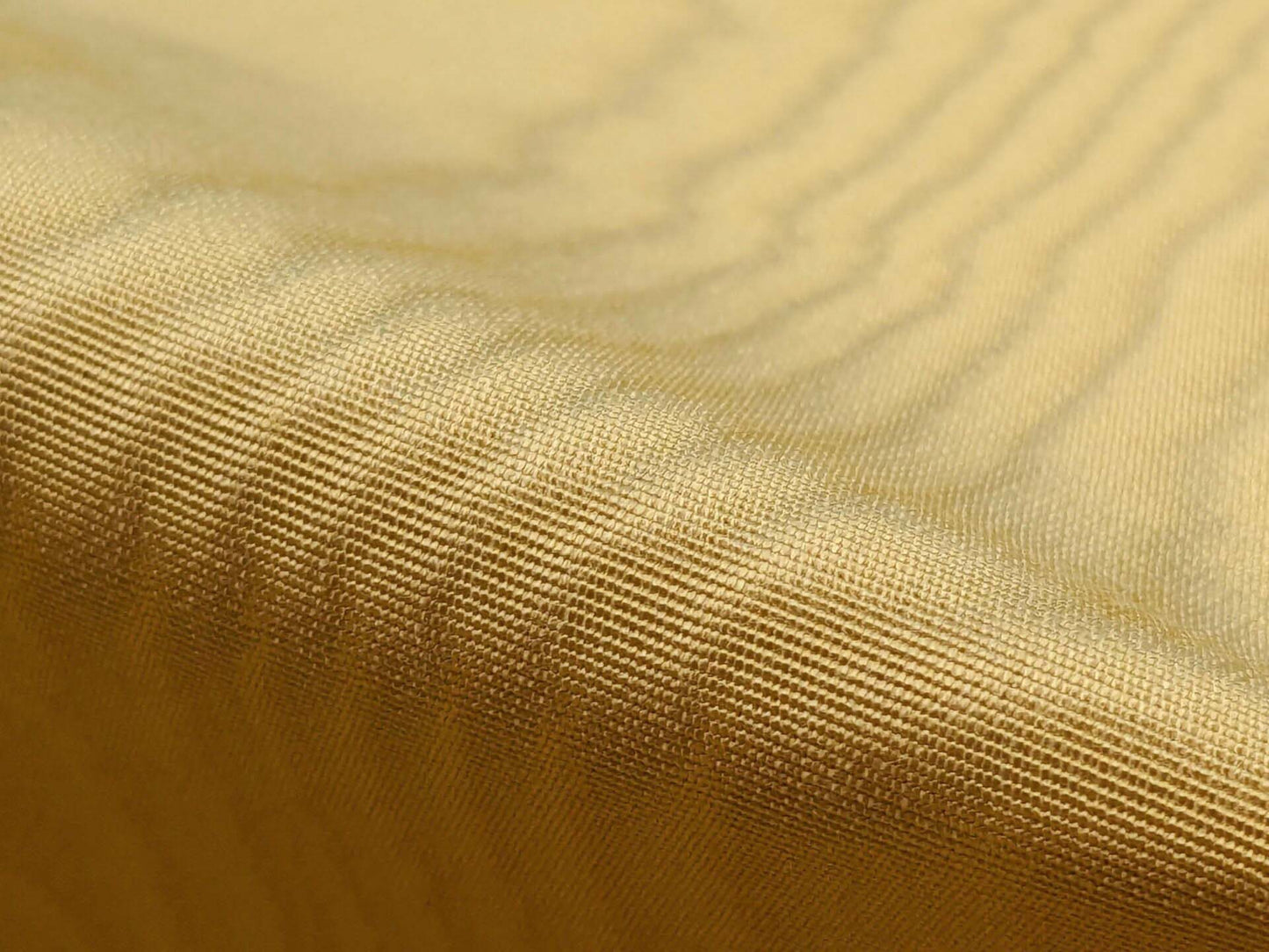 Scalamandre Doberman Moire Straw Viscose Yellow Gold Texture Watermark MSRP USD 380/y