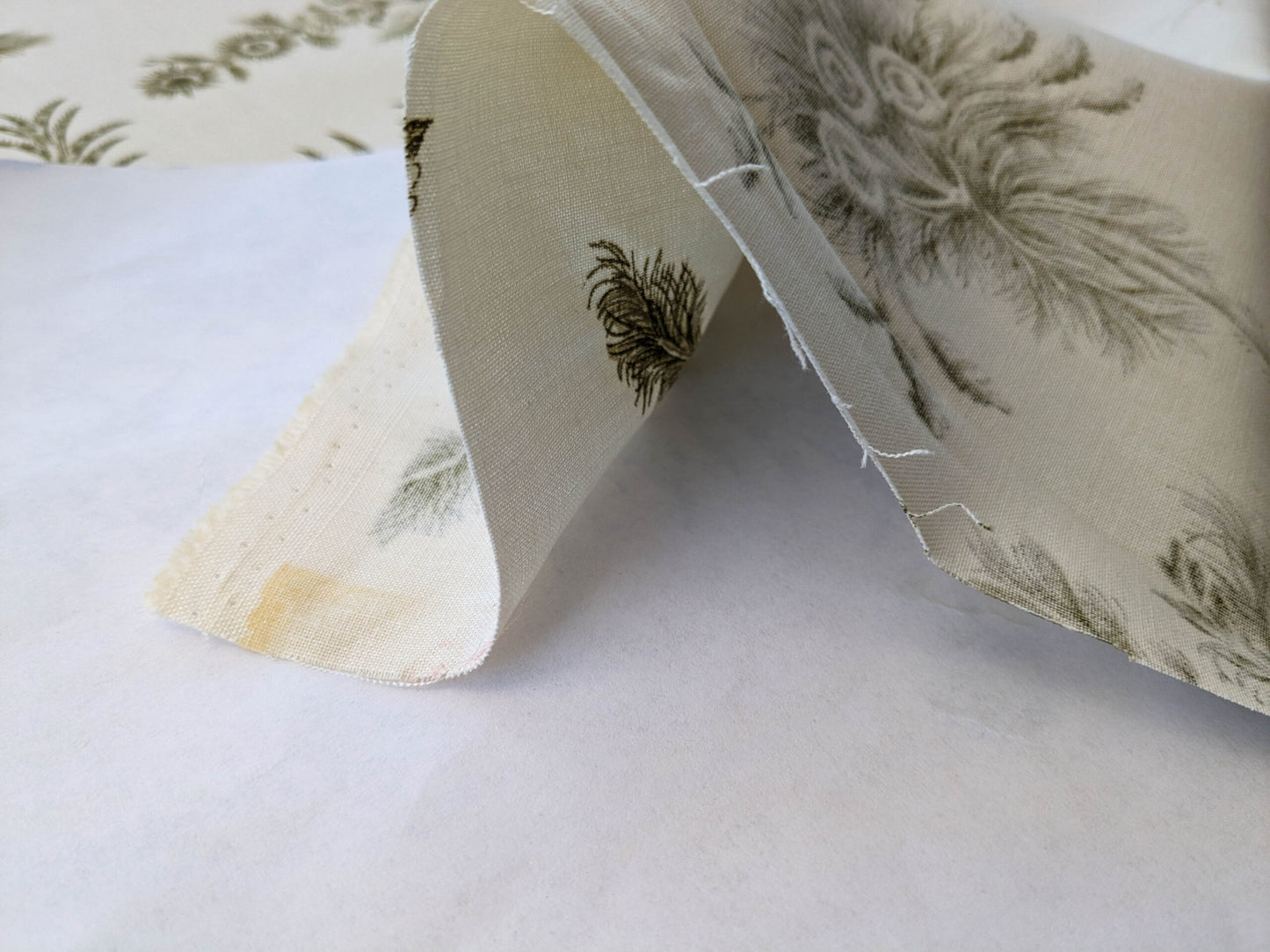 by yard Scalamandre Grey Watkins Languedoc Khaki Beige Green Botanic Fern and Thistle Southern France Toile Circa 1790 MSRP USD 364/y