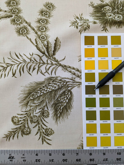 by yard Scalamandre Grey Watkins Languedoc Khaki Beige Green Botanic Fern and Thistle Southern France Toile Circa 1790 MSRP USD 364/y