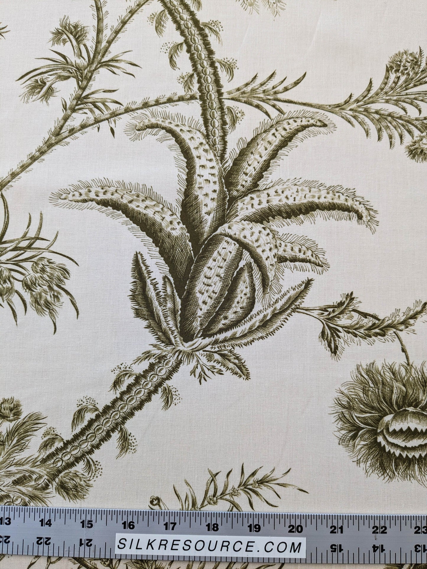 by yard Scalamandre Grey Watkins Languedoc Khaki Beige Green Botanic Fern and Thistle Southern France Toile Circa 1790 MSRP USD 364/y