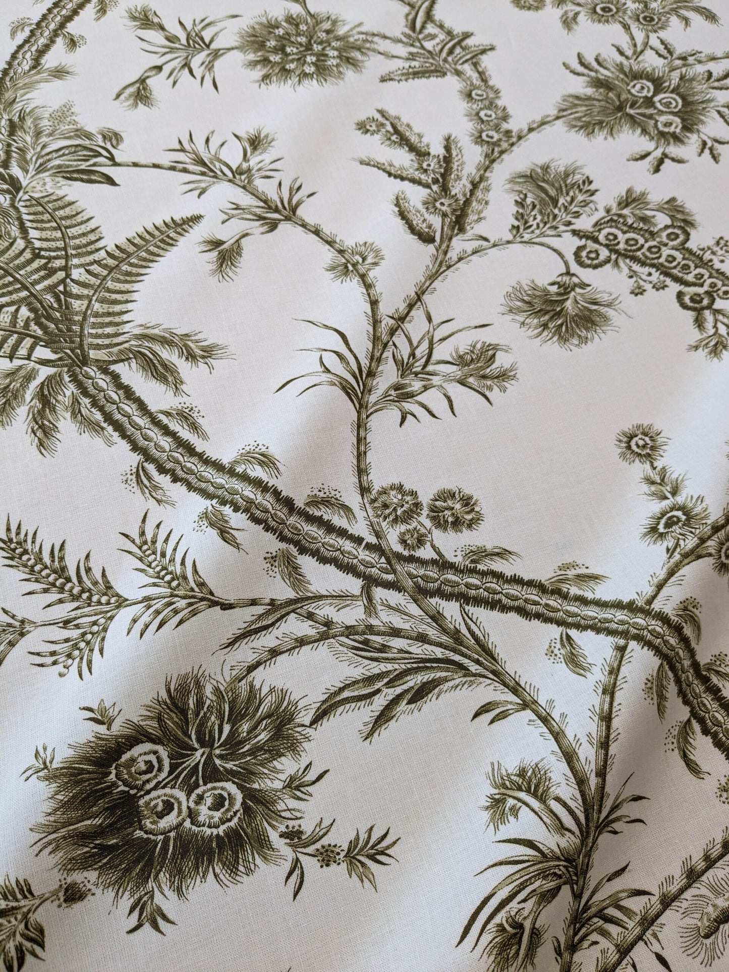 by yard Scalamandre Grey Watkins Languedoc Khaki Beige Green Botanic Fern and Thistle Southern France Toile Circa 1790 MSRP USD 364/y