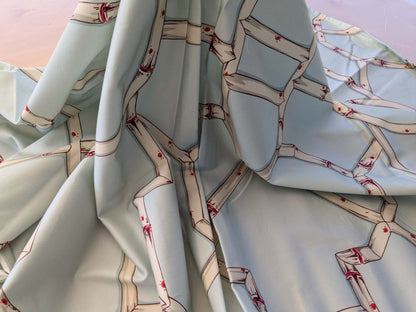 22 EV38 Scalamandre Baldwin Bamboo Print  Cream and Red on Aqua Chinoiserie fabric 1.2y