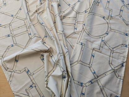 23 EV38 Scalamandre Baldwin Bamboo Print  Blue Cream White Chinoiserie fabric 1.2y