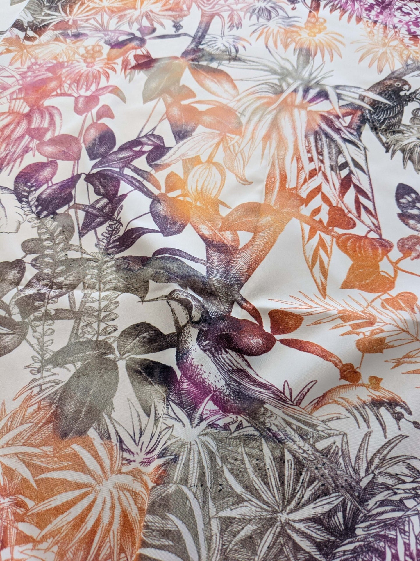 38 EV38 1.2y Fischbacher Benu Splash Citrus Berry Orange Pink Blue White Jungle Bird Floral Print Polyester MSRP USD 300+/y