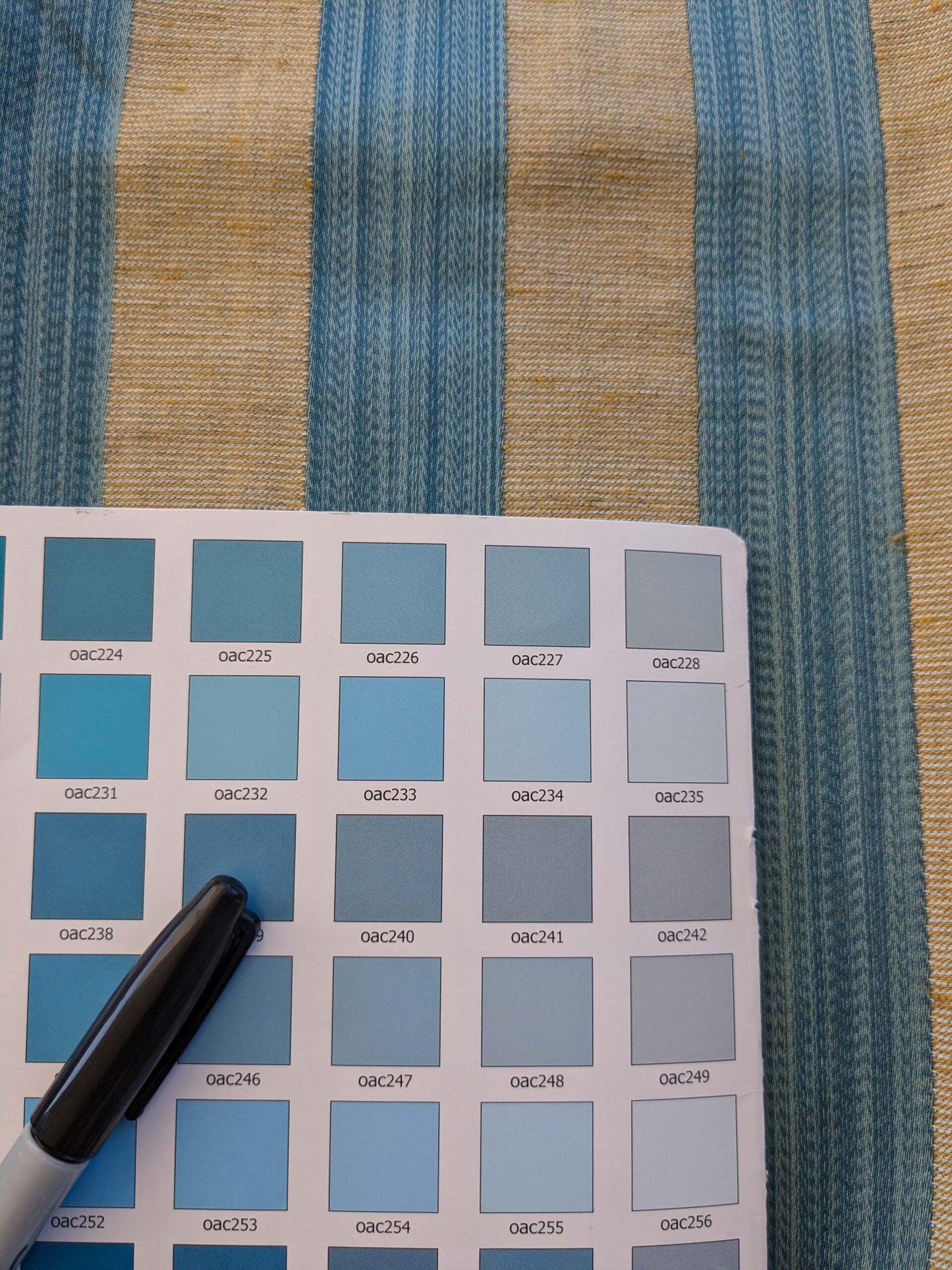 15 EV39 2.5y Scalamandre Fleur Des Indes Stripe Blue Beige