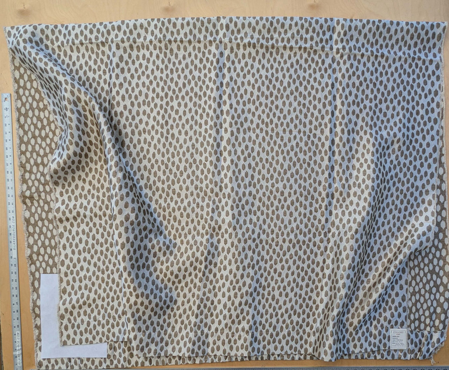 7 EV41 2.4yd x 55"wScalamandre Savanna Sheer White Brown Dot Circle MSRP USD 430/y