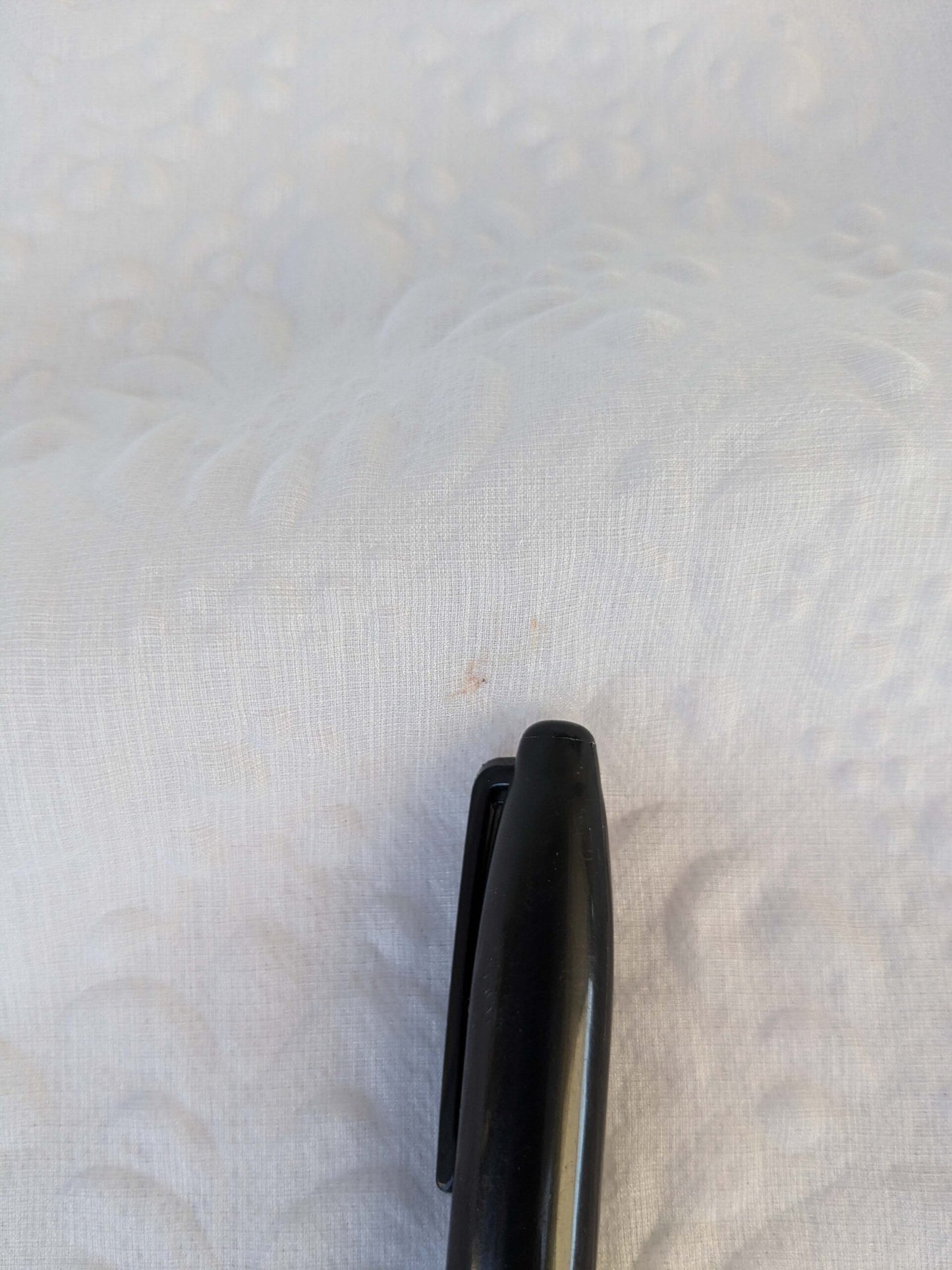 12 EV43 Sheers 2.4y x 56"w Scalamandre Christian Fischbacher Orient Light Eggshell Abstract Jacquard Small Stain