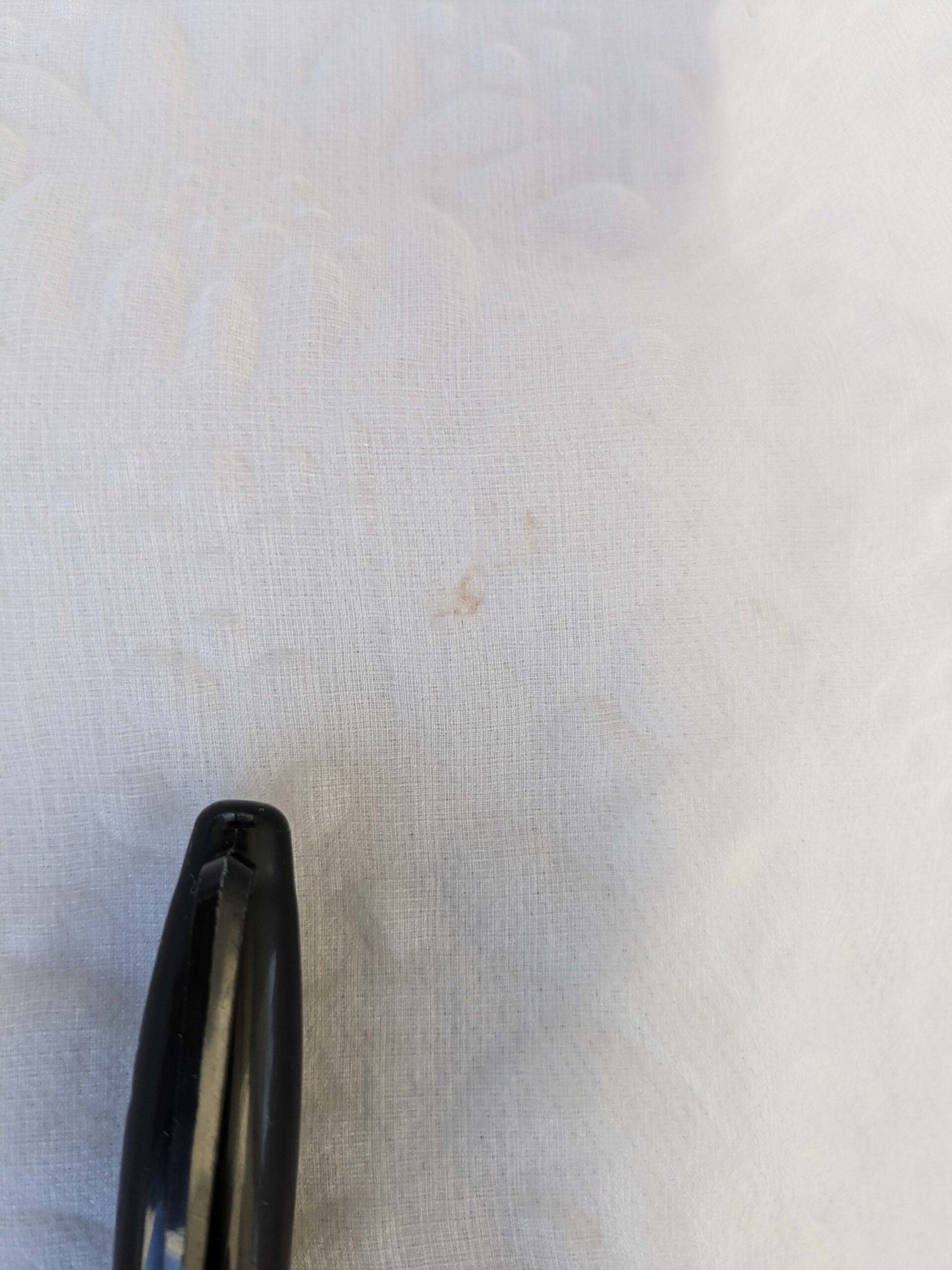 12 EV43 Sheers 2.4y x 56"w Scalamandre Christian Fischbacher Orient Light Eggshell Abstract Jacquard Small Stain