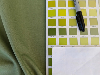 by yard Scalamandre Panarea Verdino Green Cotton Canvas Heavy Duty Plain Solid MSRP USD 58/Yard