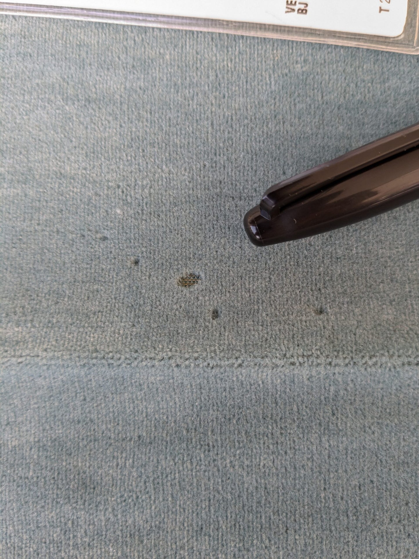 53 EV46 Velvet Square 12" x 26" Scalamandre Grey Watkins Montgraham Ocean Blue Solid Silk Wool Velvet Stain!