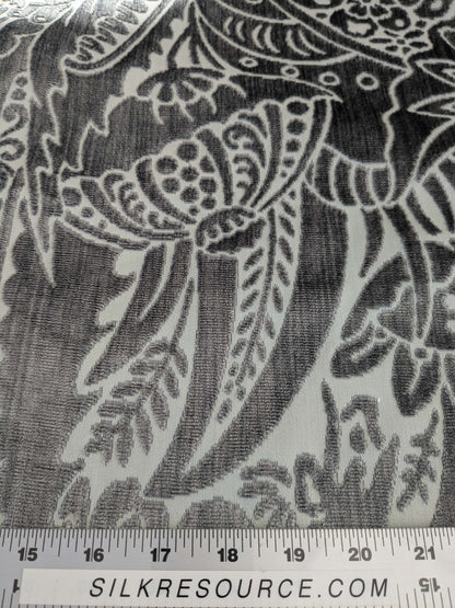2 yards Scalamandre Welwyn Gray Silver Cut Velvet Silk Velvet Grand Botanic Pomegranite Rose MSRP USD 1000+/Y