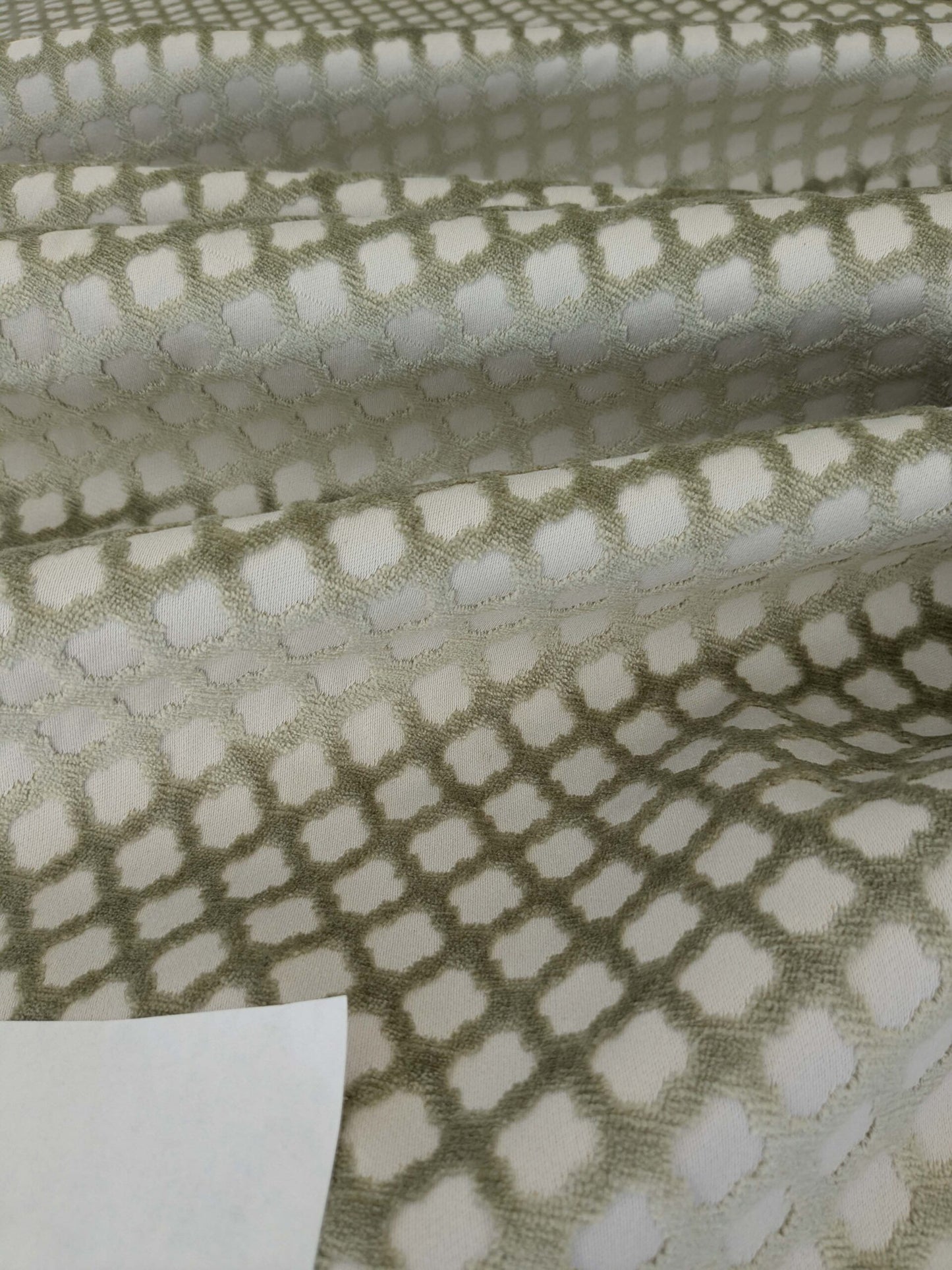 by yard Scalamandre Pomfret Green Tea Silk Cotton Green Beige Diamond Ogee Small Scale MSRP USD816/y