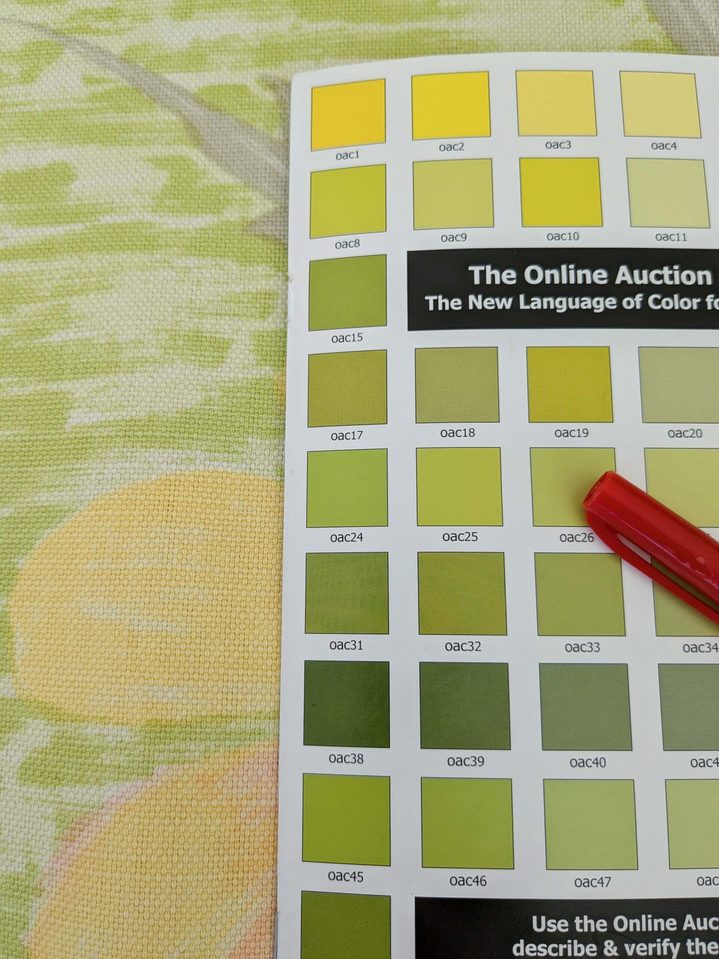 by yard Scalamandre Kilifi Verde Linen Multi on Green Giant Butterfly Floral