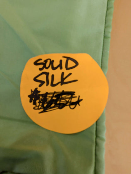 Scalamandre Pillow Case Square Solid Silk Green 19x19 inches 6-Ev49