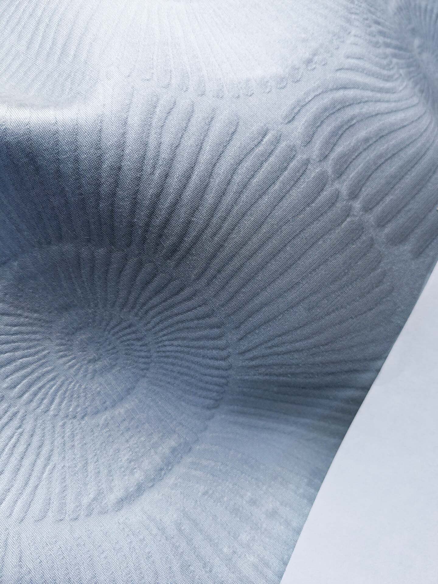 Scalamandre Nautilo Sheer Blue Veil Jacquard, Sheer, Bird , Animal/ocean  Blue MSRP USD 302