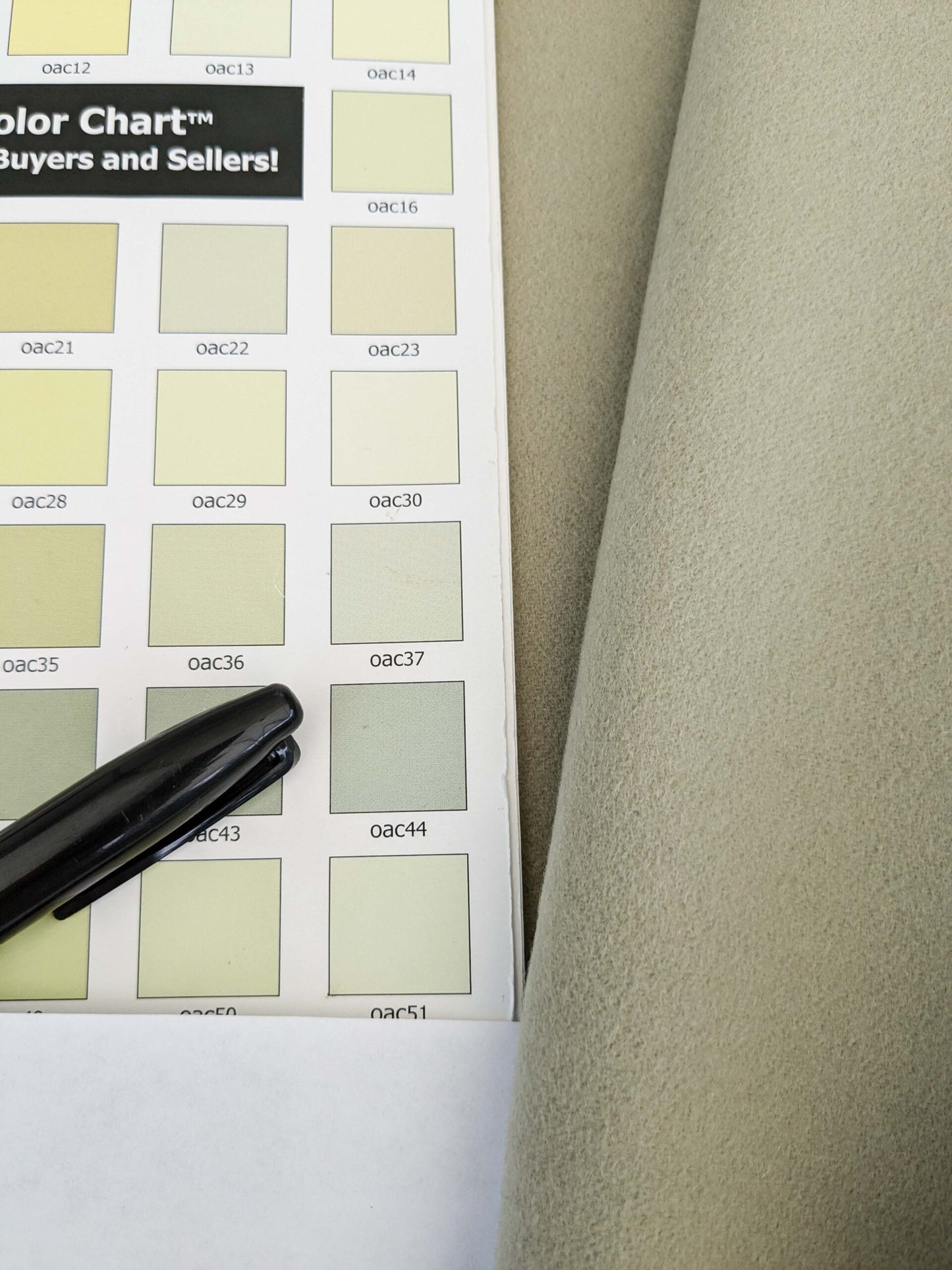 Mongolian steppe Wool Cashmere Blend Muted Celery Green MSRP USD 824/yard