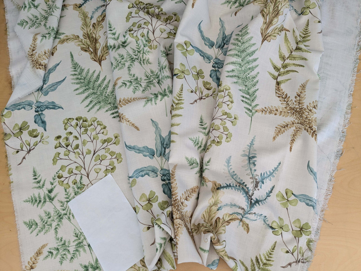 10 EV52 2.4y x 57"wide Scalamandre Old World Weavers Wethersfield Fern Spring White Polyester Floral Print
