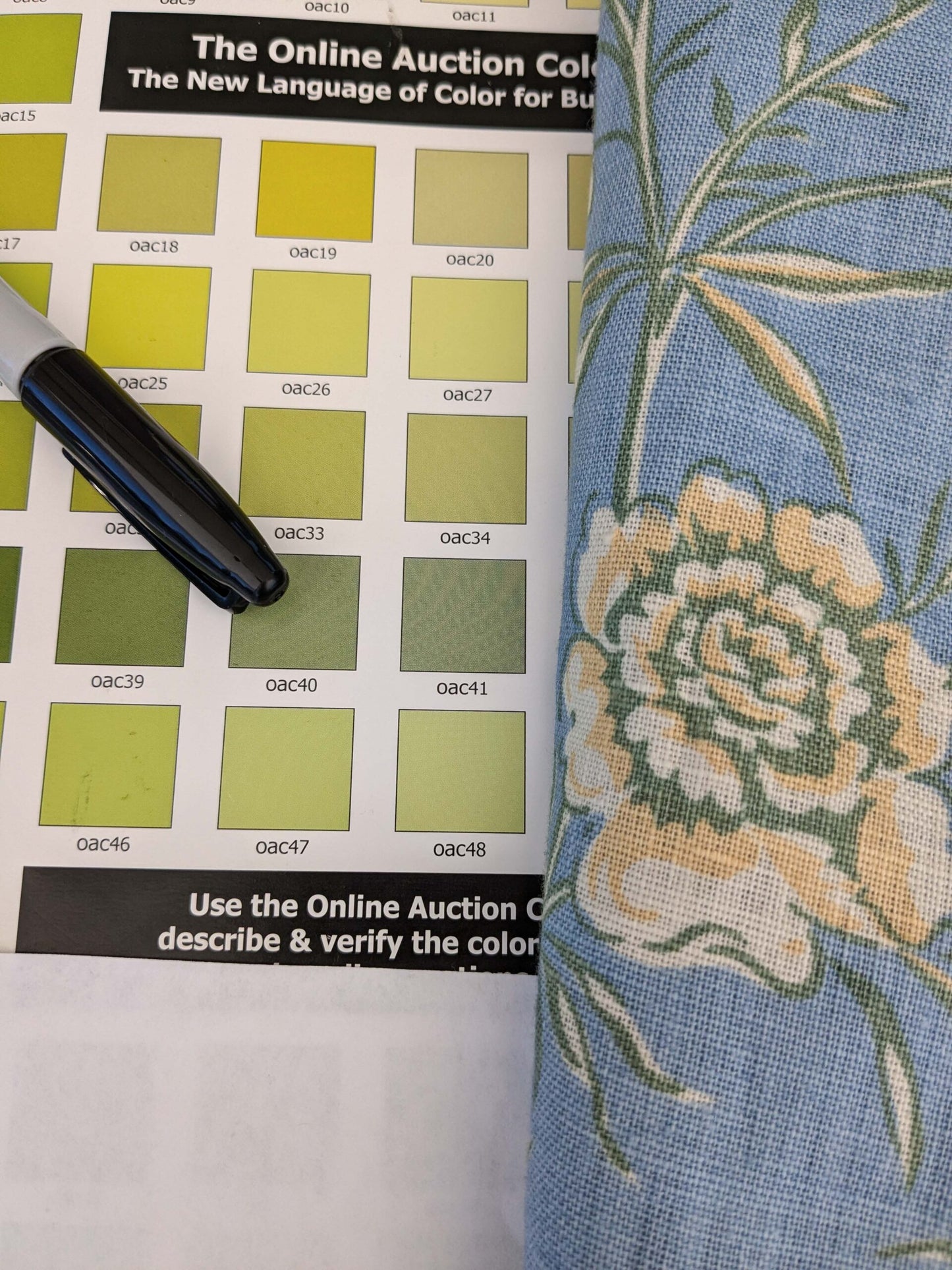 11 EV52 1.2y x 53"wide Scalamandre Aviary Sky Blue Linen Birds Floral Botanical Foliage Chinoiserie Print