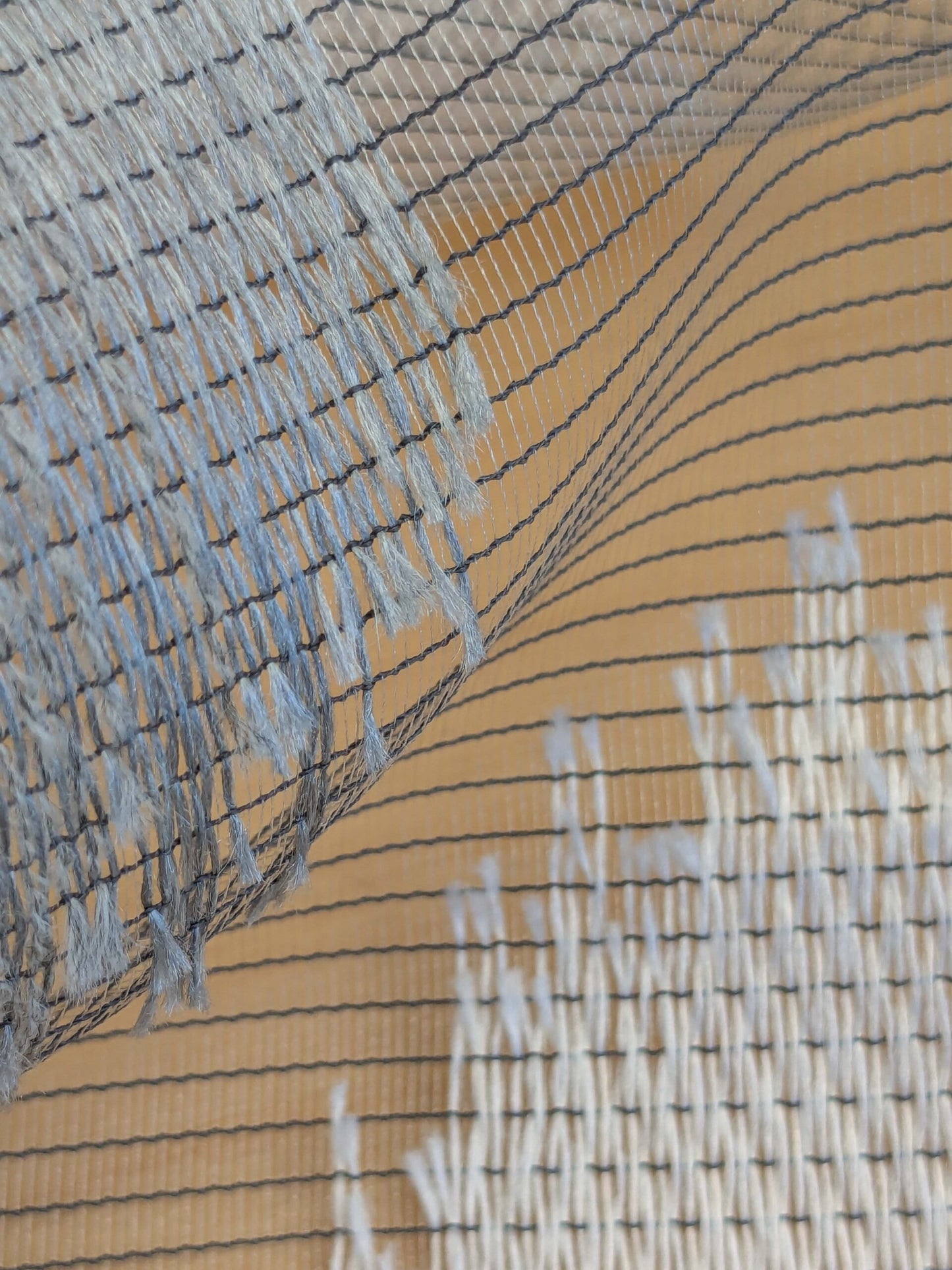 19 EV52 2.4y x 55"wide Scalamandre Christian Fischbacher Gemme Grey Sheer Dot Circle